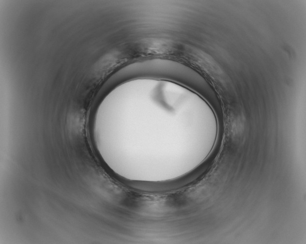 X0000110900328200907091421