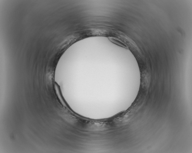 X0000110900329200907091421