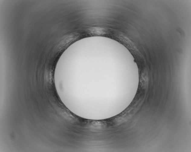 X0000110900330200907091421