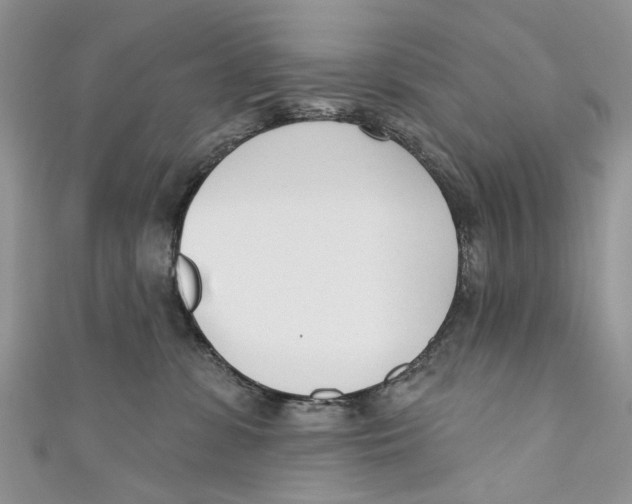 X0000110900331200907091421