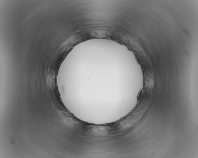 X0000110900332200907091421