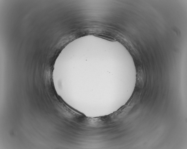 X0000110900333200907091421