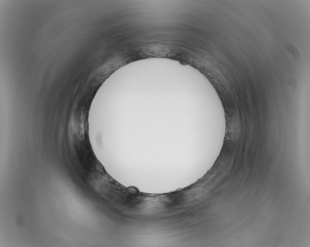 X0000110900334200907091421