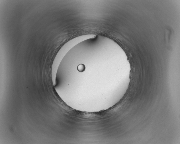 X0000110900336200907091421