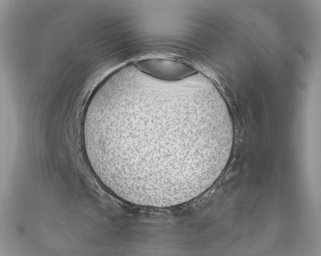 X0000110900337200907091420