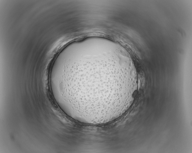 X0000110900339200907091420