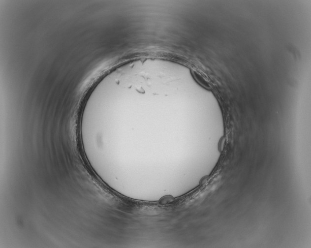 X0000110900341200907091420