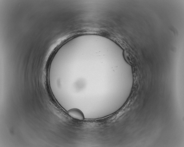 X0000110900342200907091420