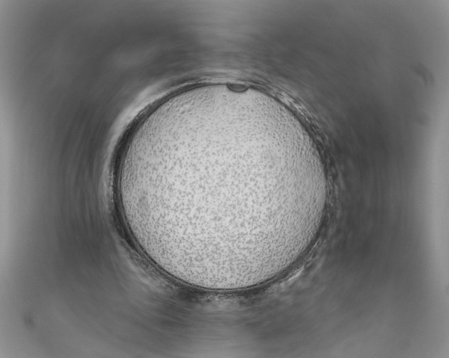 X0000110900343200907091420