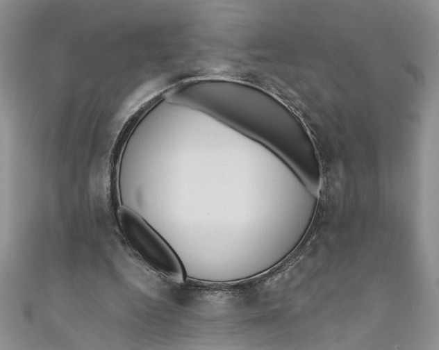 X0000110900344200907091420