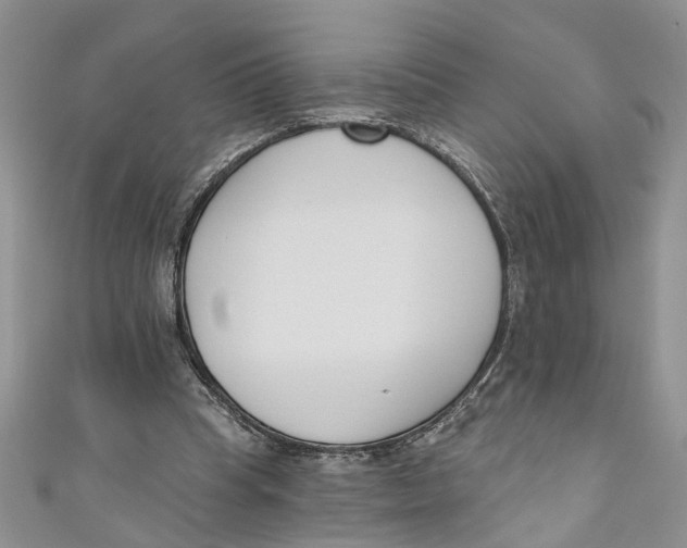 X0000110900345200907091420