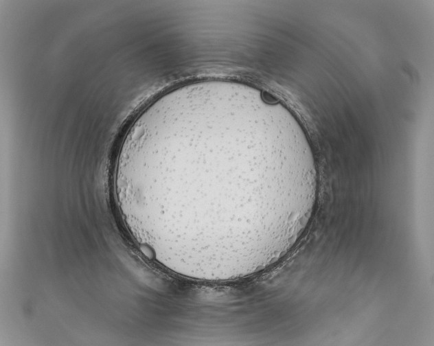 X0000110900346200907091420