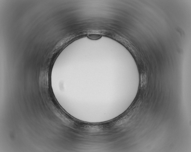 X0000110900349200907091420