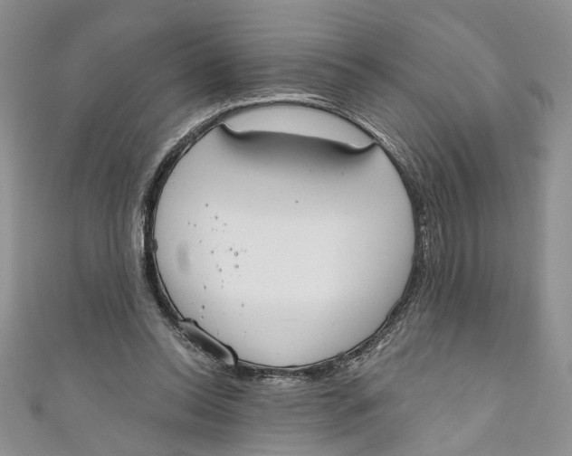 X0000110900350200907091420