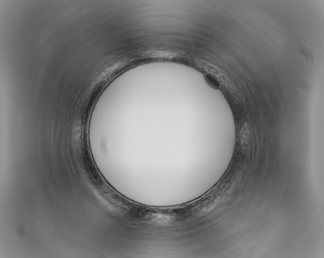 X0000110900352200907091420