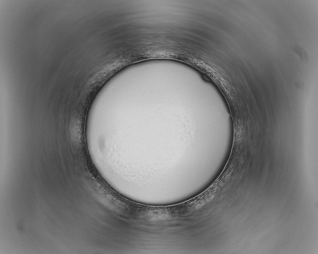 X0000110900353200907091420