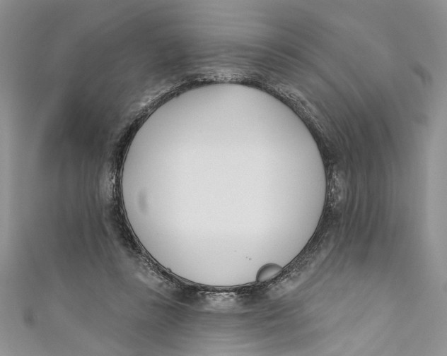 X0000110900355200907091420