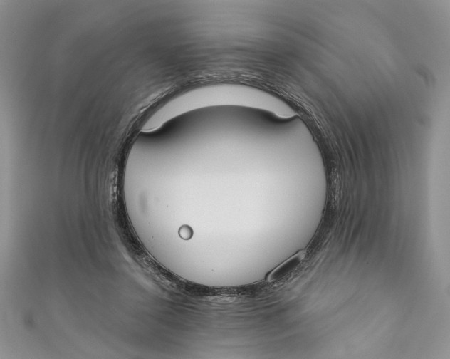 X0000110900356200907091420