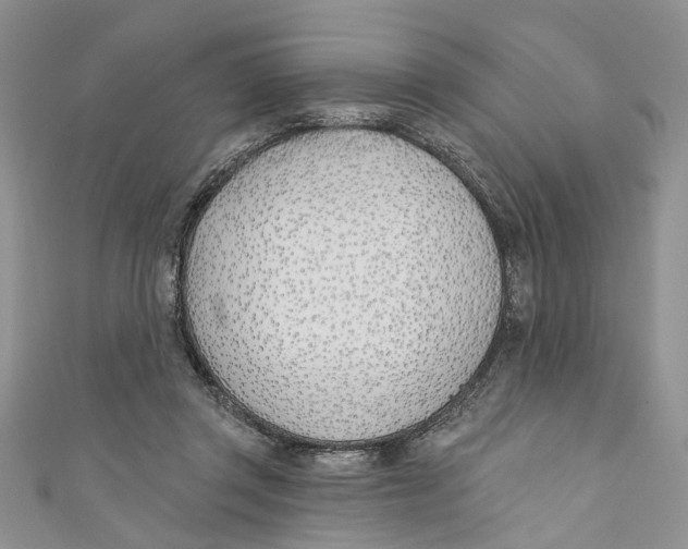 X0000110900357200907091420