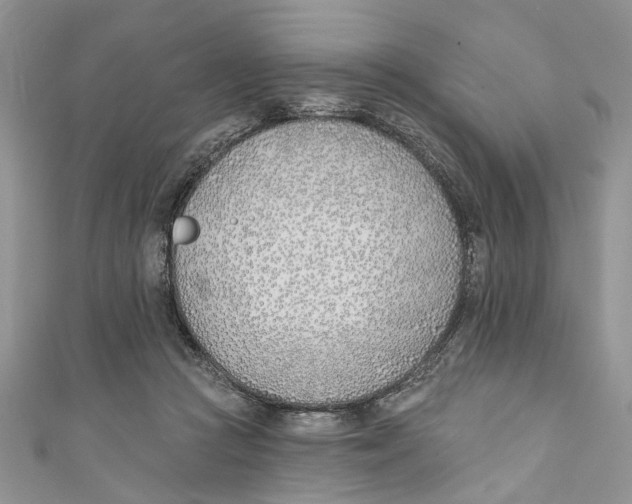 X0000110900361200907091420