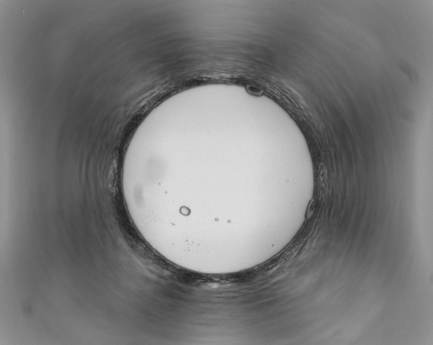 X0000110900364200907091420