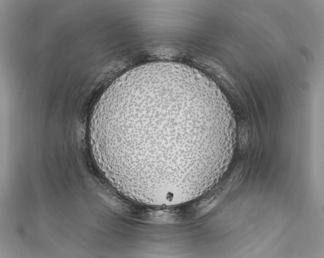 X0000110900365200907091420