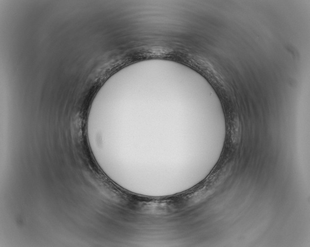 X0000110900366200907091420