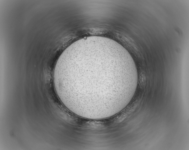 X0000110900367200907091420