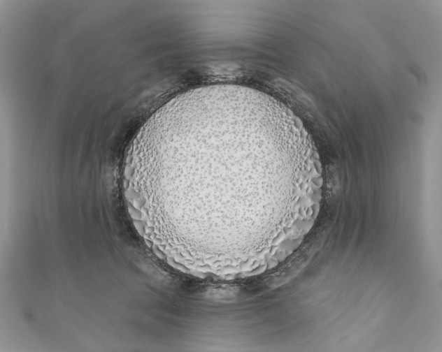 X0000110900369200907091421