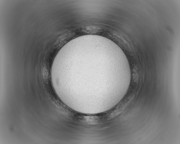 X0000110900371200907091421