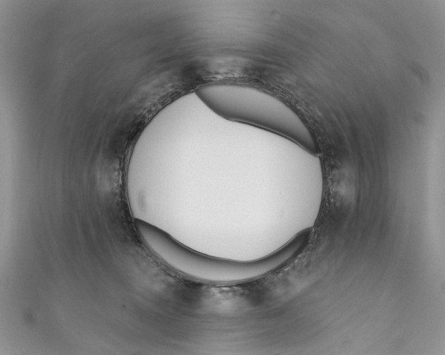 X0000110900372200907091421