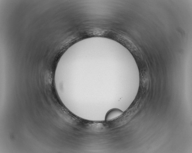 X0000110900374200907091421