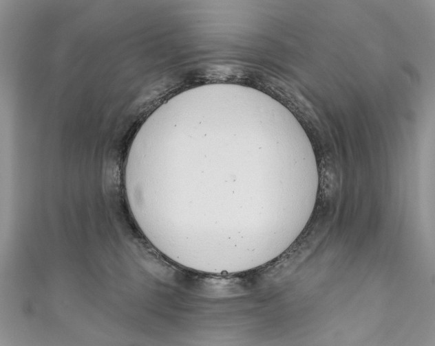 X0000110900375200907091421