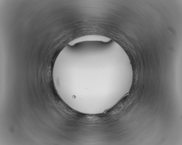 X0000110900376200907091421