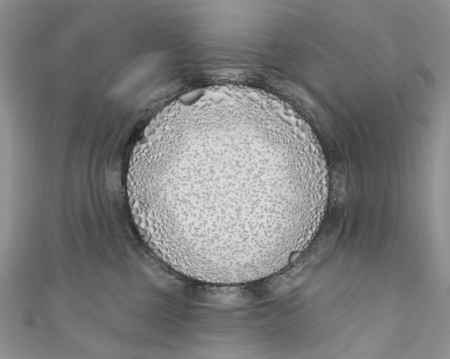 X0000110900377200907091421