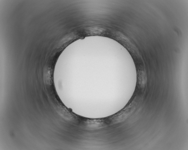 X0000110900378200907091421