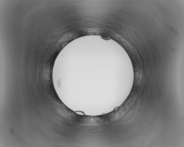 X0000110900379200907091421