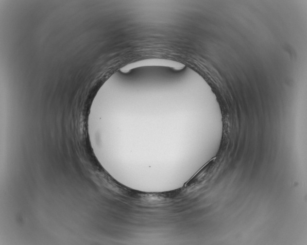 X0000110900380200907091421