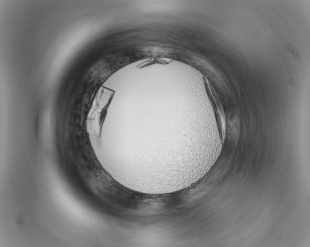 X0000110900381200907091421