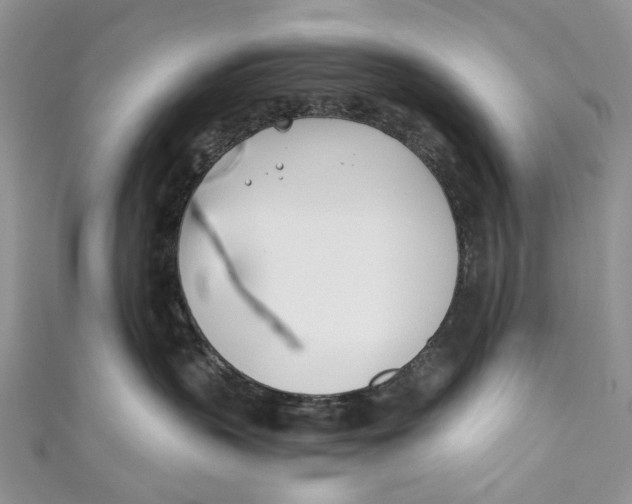 X0000110900383200907091421