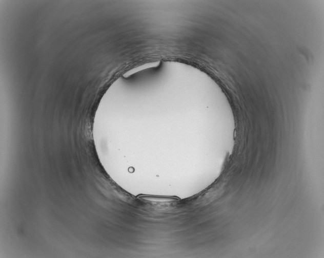 X0000110900384200907091421