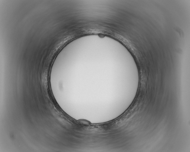 X0000110900386200907091420