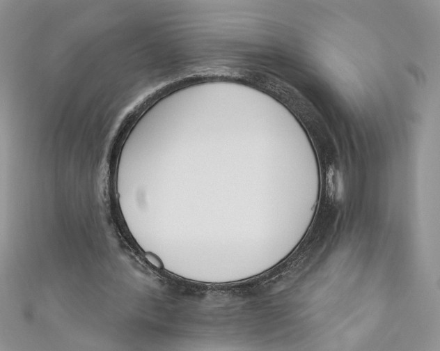 X0000110900388200907091420