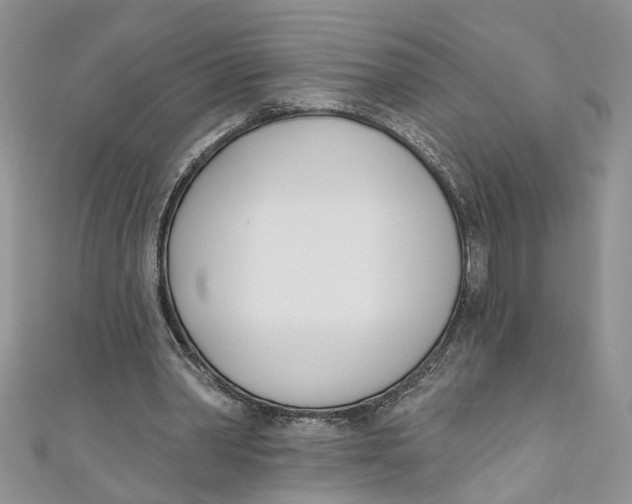 X0000110900390200907091420