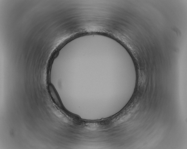 X0000110900391200907091420