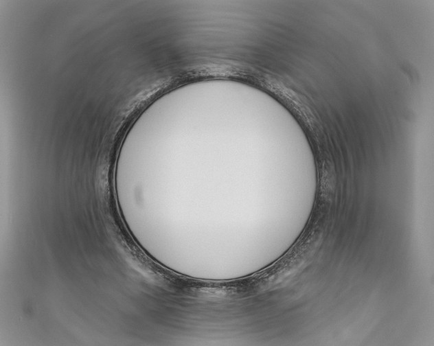 X0000110900394200907091420