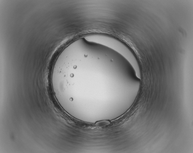 X0000110900395200907091420