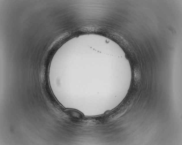 X0000110900396200907091420