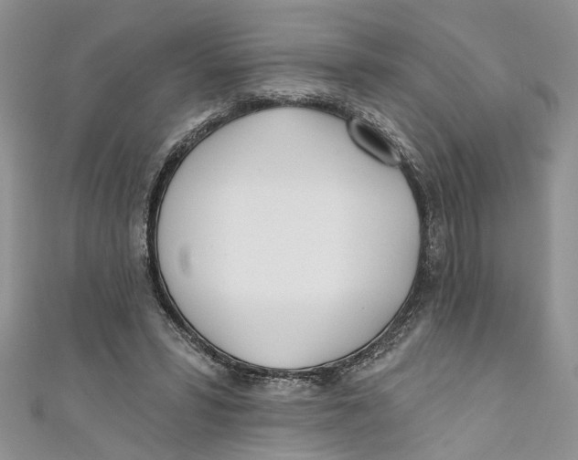 X0000110900399200907091420