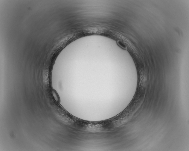 X0000110900403200907091420